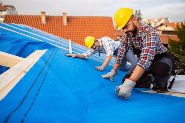 Best Roof Leak Repair  in Chandler, IN